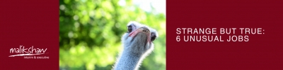Strange But True: 6 Unusual Jobs