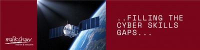 Digital and Cyber Defence: Who Will Fill the Gaps?